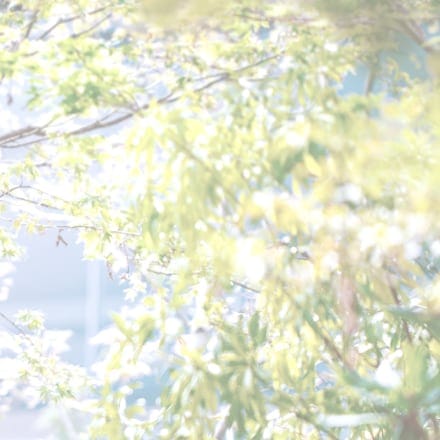 アクセス 熊本の結婚式場ラソール ガーデン 熊本